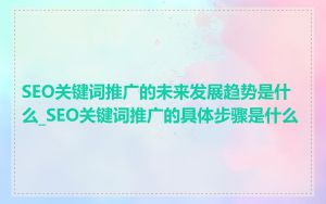 SEO关键词推广的未来发展趋势是什么_SEO关键词推广的具体步骤是什么