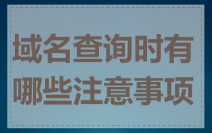 域名查询时有哪些注意事项