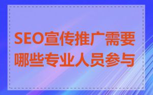 SEO宣传推广需要哪些专业人员参与