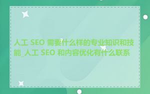 人工 SEO 需要什么样的专业知识和技能_人工 SEO 和内容优化有什么联系