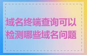 域名终端查询可以检测哪些域名问题
