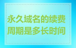 永久域名的续费周期是多长时间