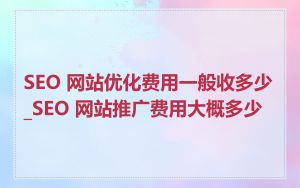 SEO 网站优化费用一般收多少_SEO 网站推广费用大概多少