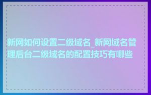 新网如何设置二级域名_新网域名管理后台二级域名的配置技巧有哪些