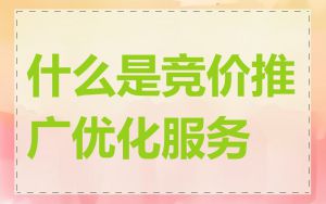 什么是竞价推广优化服务