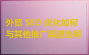 外贸 SEO 优化如何与其他推广渠道协同