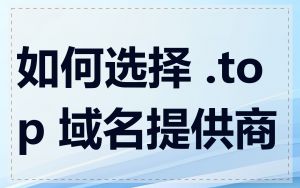 如何选择 .top 域名提供商