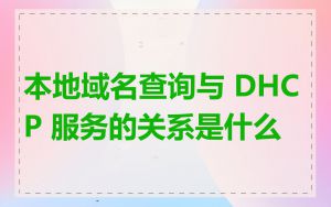 本地域名查询与 DHCP 服务的关系是什么