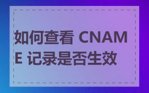 如何查看 CNAME 记录是否生效