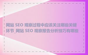 网站 SEO 观察过程中应该关注哪些关键环节_网站 SEO 观察报告分析技巧有哪些