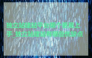 独立站建站平台哪个更易上手_独立站建站有哪些优缺点