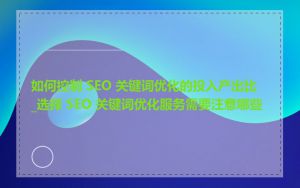 如何控制 SEO 关键词优化的投入产出比_选择 SEO 关键词优化服务需要注意哪些