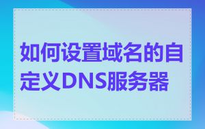 如何设置域名的自定义DNS服务器