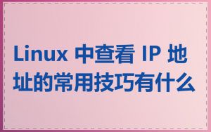 Linux 中查看 IP 地址的常用技巧有什么