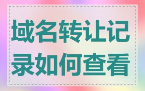 域名转让记录如何查看