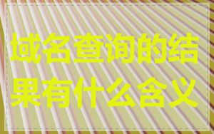 域名查询的结果有什么含义