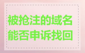被抢注的域名能否申诉找回