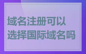 域名注册可以选择国际域名吗