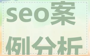 seo案例分析