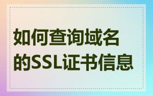 如何查询域名的SSL证书信息