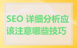 SEO 详细分析应该注意哪些技巧