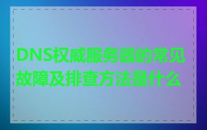 DNS权威服务器的常见故障及排查方法是什么