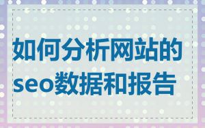 如何分析网站的seo数据和报告