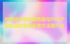 内网域名解析服务器与DHCP服务器的集成配置方法是什么