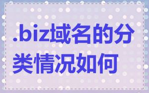 .biz域名的分类情况如何