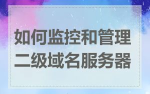 如何监控和管理二级域名服务器