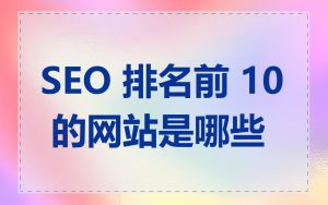 SEO 排名前 10 的网站是哪些