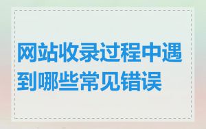 网站收录过程中遇到哪些常见错误