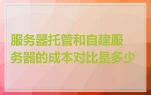 服务器托管和自建服务器的成本对比是多少
