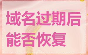 域名过期后能否恢复