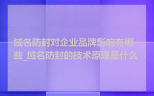 域名防封对企业品牌影响有哪些_域名防封的技术原理是什么