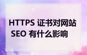 HTTPS 证书对网站 SEO 有什么影响