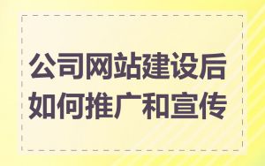 公司网站建设后如何推广和宣传