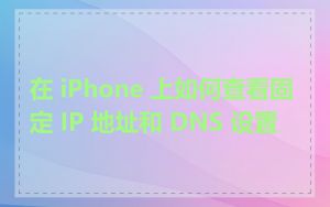 在 iPhone 上如何查看固定 IP 地址和 DNS 设置