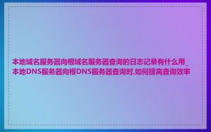 本地域名服务器向根域名服务器查询的日志记录有什么用_本地DNS服务器向根DNS服务器查询时,如何提高查询效率