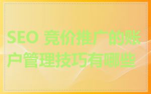 SEO 竞价推广的账户管理技巧有哪些