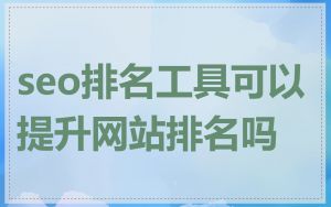 seo排名工具可以提升网站排名吗