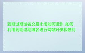 到期过期域名交易市场如何运作_如何利用到期过期域名进行网站开发和盈利