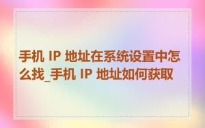手机 IP 地址在系统设置中怎么找_手机 IP 地址如何获取