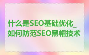 什么是SEO基础优化_如何防范SEO黑帽技术