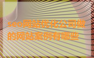 seo网站优化公司做的网站案例有哪些