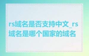 rs域名是否支持中文_rs域名是哪个国家的域名