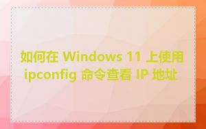 如何在 Windows 11 上使用 ipconfig 命令查看 IP 地址