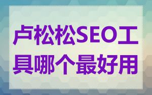 卢松松SEO工具哪个最好用
