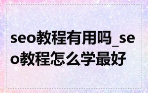 seo教程有用吗_seo教程怎么学最好