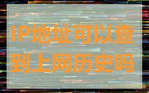 IP地址可以查到上网历史吗